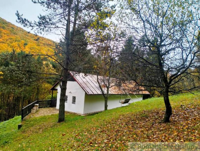 A cottage in Chocholná-Velčice surrounded by autumn forest and fresh nature.