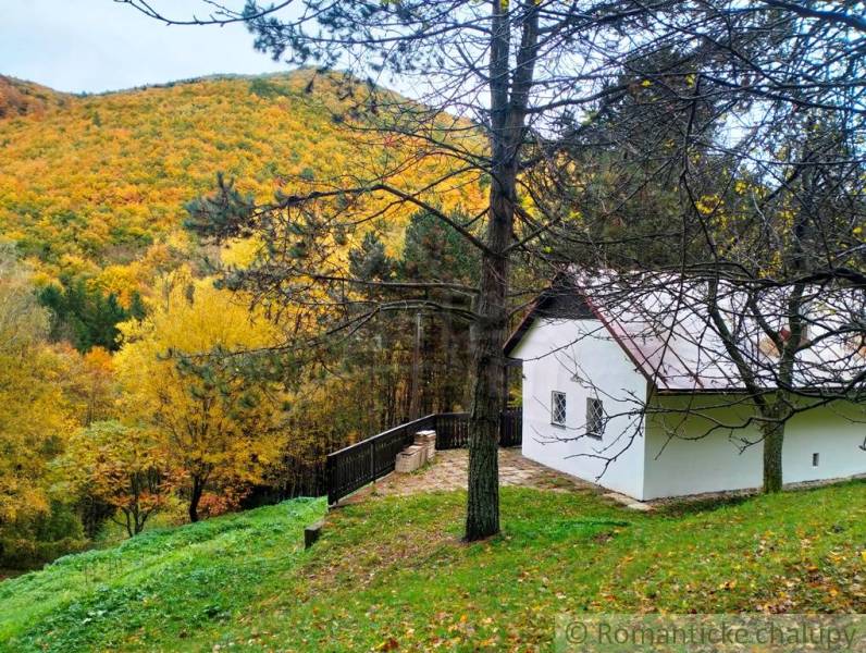 A cottage in Chocholná-Velčice near the forest with autumn colors on the hills.