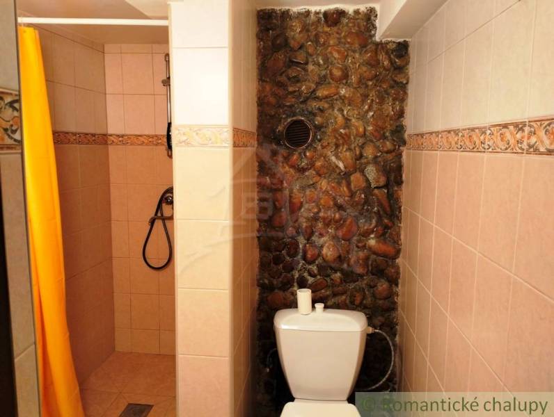 A bathroom in a cabin with a shower, toilet, and stone wall.