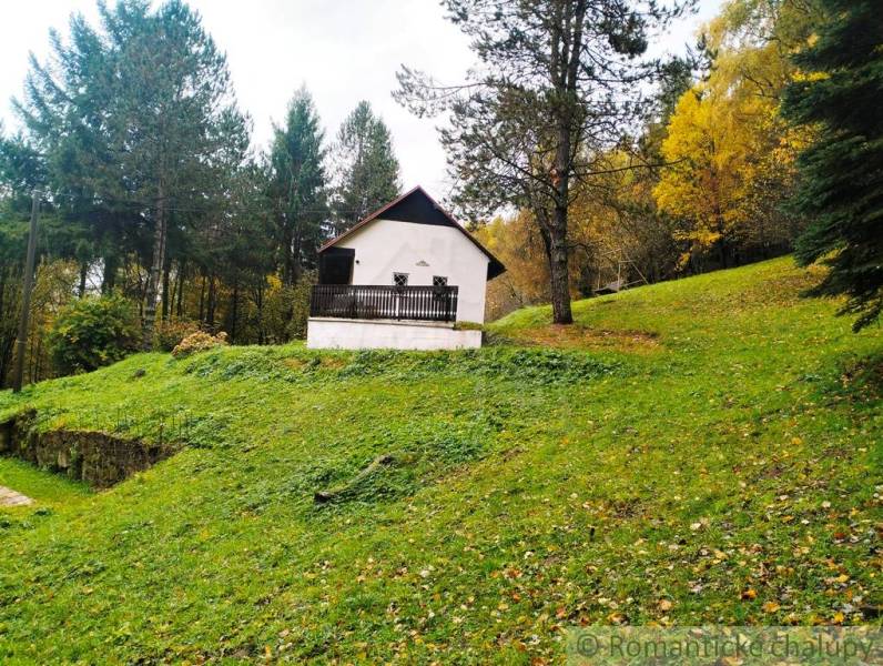 A cottage in Chocholná-Velčice surrounded by greenery and forest on a mowed meadow.