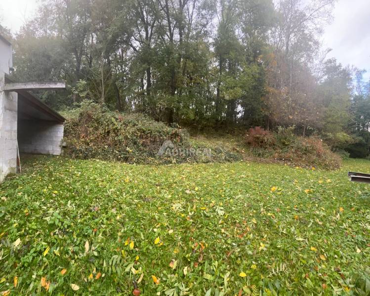 In the garden of a family house on Divínska Street in Divín, there are trees and dense greenery.