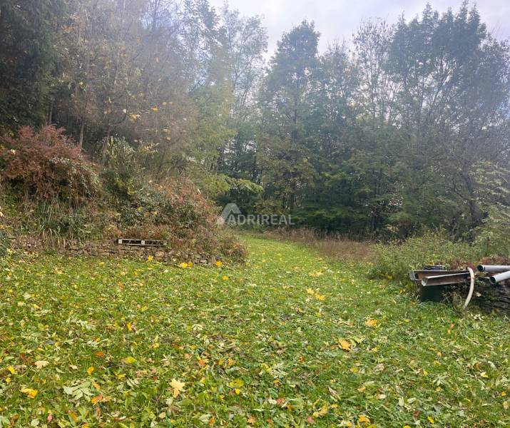 A garden with a lawn and trees behind a family house in Divín on Divín Street.