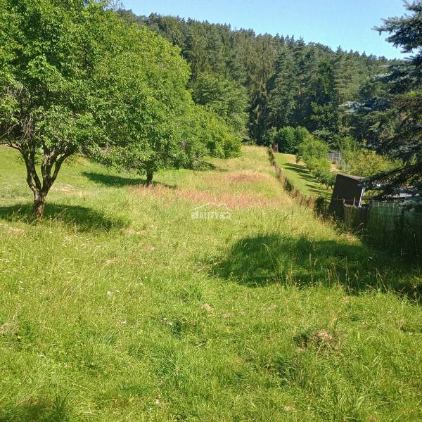 Green meadow and trees on recreational land in Žilina with a forest in the background.