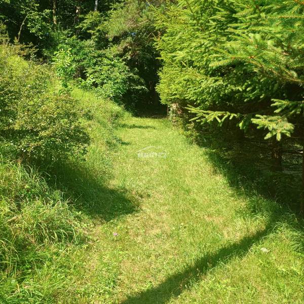 A green path surrounded by vegetation on recreational grounds in Žilina.