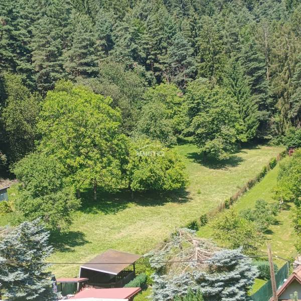 Greenery and trees on recreational land in Žilina, surrounded by dense forest.