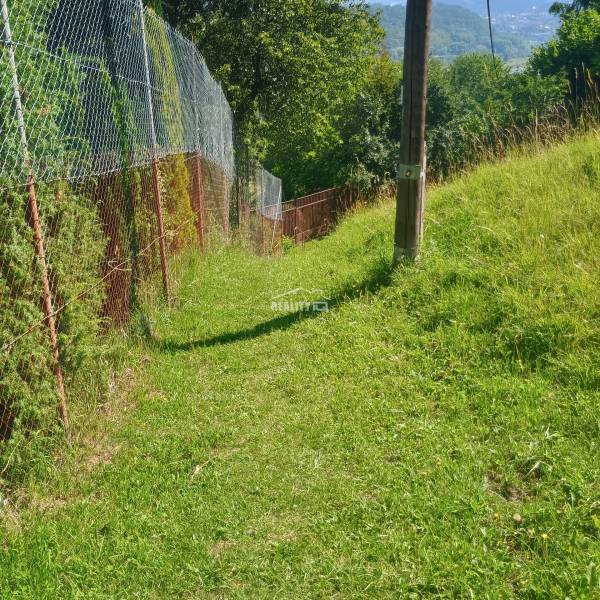 A grassy path on the Recreational Grounds in Žilina, fenced with wire mesh and trees.