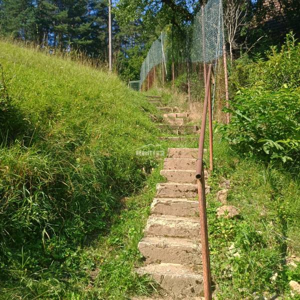 Stairs leading uphill surrounded by greenery in the Recreational Grounds in Žilina.