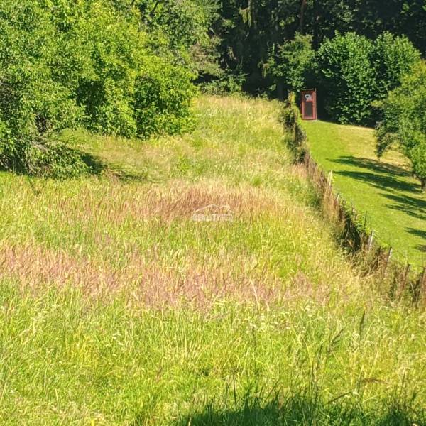 Greenery and grass on recreational plots in Žilina in a natural environment.