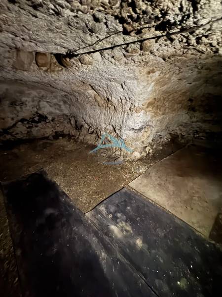 Please provide the text you would like translated into English.