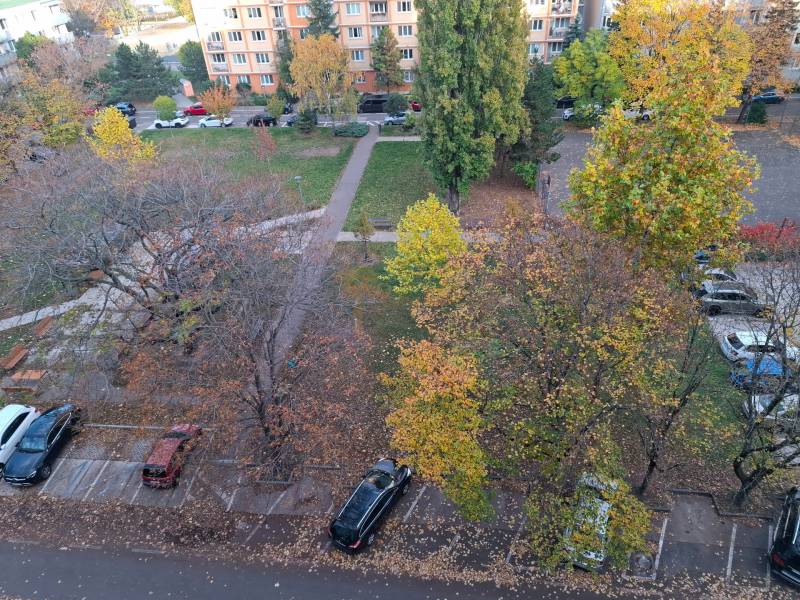Trees and a parking lot in autumn in Bratislava - Ružinov near a three-room apartment.