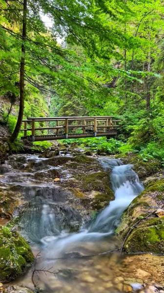 Wooden bridge over a stream in the forest near Trnava pri Laborci suitable for plots - housing.