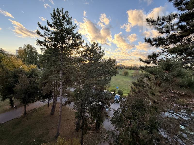 View from a 3-room apartment on MDŽ 1848/33 Street in Šurany, trees and a meadow.