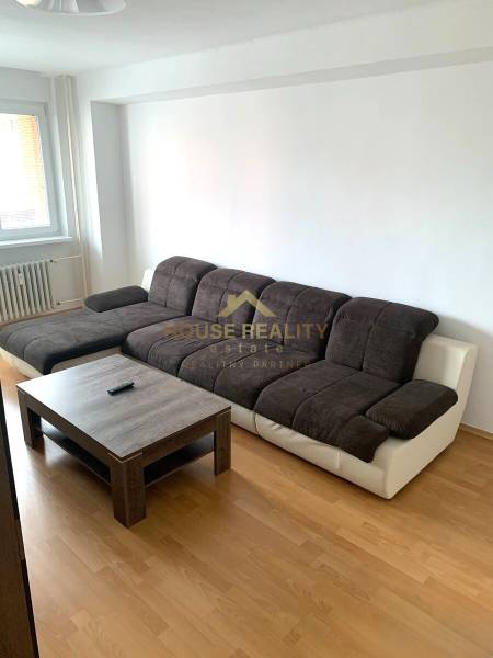 Living room in a 2-room apartment with a dark sofa and a wooden decor floor.