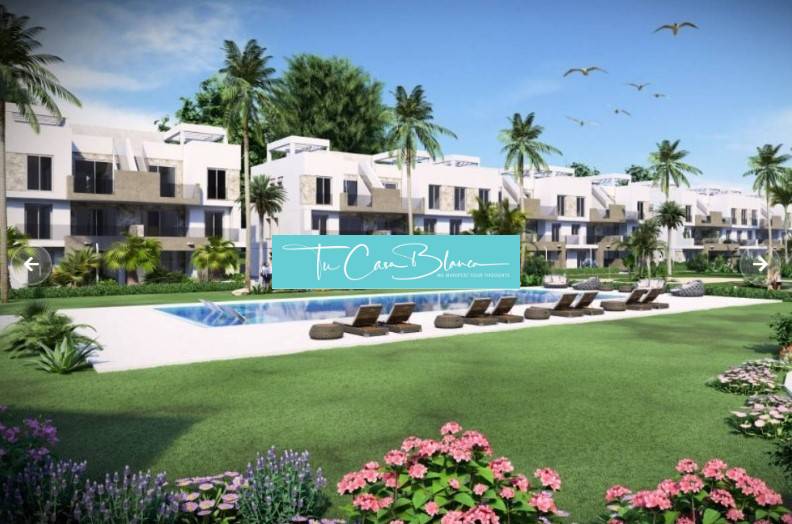 Recreational apartment in Guardamar del Segura with a pool, palm trees, and sun loungers in the garden.