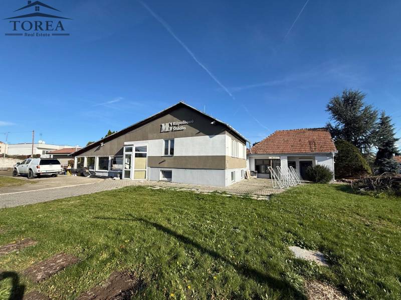 Commercial premises in Dolné Chlebany with a lawn and parking for cars.