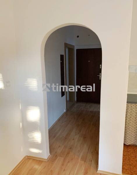 An arched passage in a 2-room apartment with a wood-patterned floor.