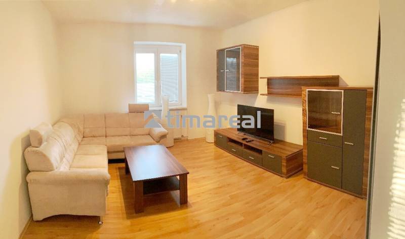 Living room in a 2-room apartment with a sofa and a wooden decor floor.
