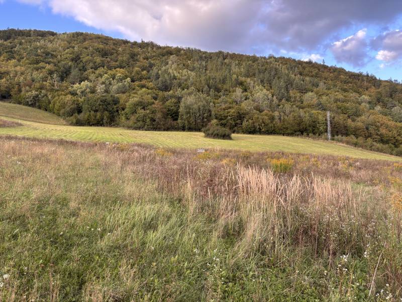 Green meadows with forests in the background, Margecany, ideal for residential plots.