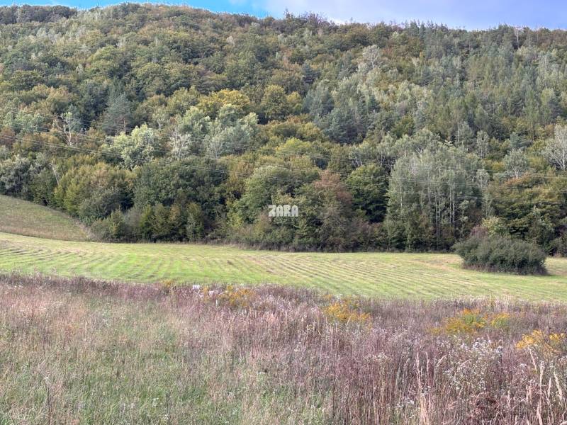 Grassland plots for housing in Margecany, surrounded by greenery and forests.