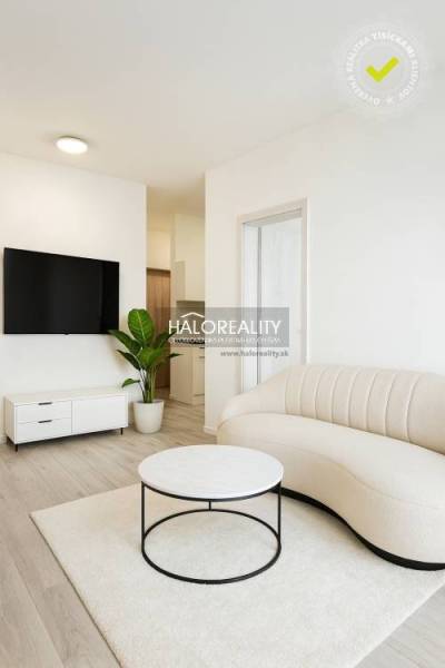 Living room in a studio apartment with a sofa, television, and wood-patterned flooring.