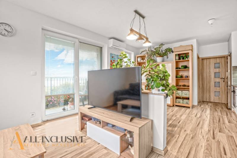 Interior of a 3-room apartment with wood-patterned flooring, a television, and houseplants.