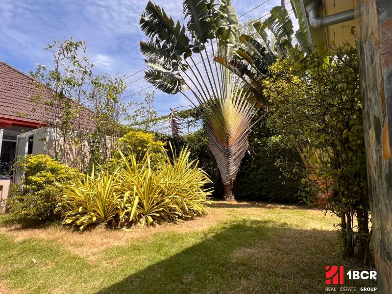 The garden of the villa in Pattaya with a green lawn and exotic plants.