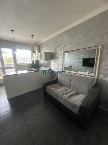 A two-room apartment with a kitchen island, a sofa, and a mirror on a gray wall.