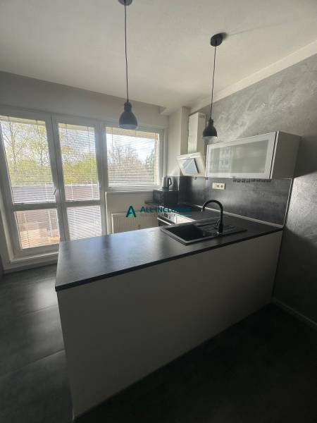 A kitchen in a studio apartment with gray walls, windows, and kitchen cabinets.