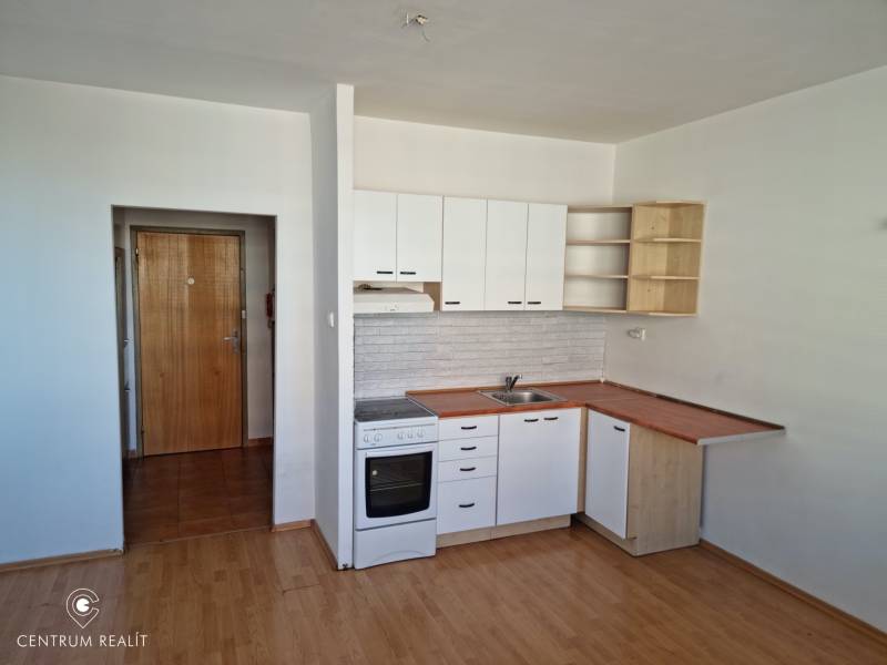Studio apartment with entrance, kitchen, and floor with wood decor.