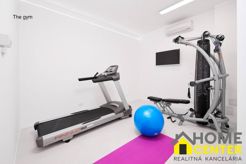 Home gym in the villa with equipment: treadmill, bench, blue exercise ball.