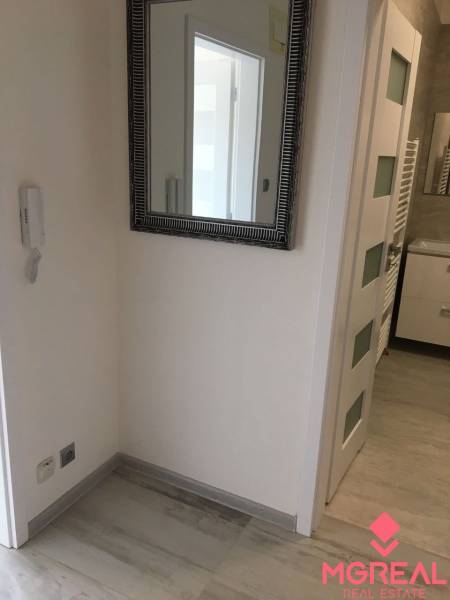 A hallway with a large mirror in a studio apartment with a wood-patterned floor.