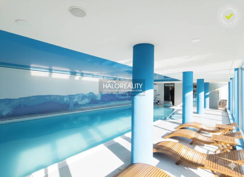 Interior relaxation zone with a pool and loungers in gastro premises.