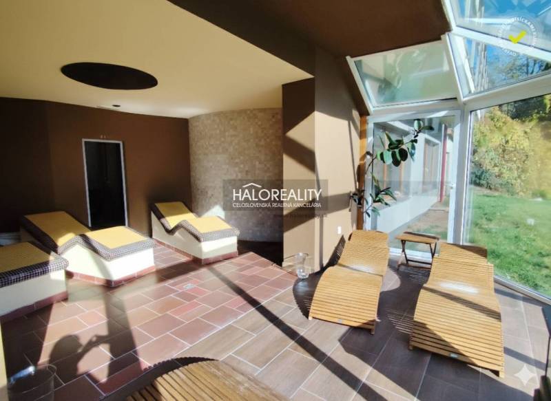 Interior of gastro spaces with loungers, glass wall, and floor with wooden decor.