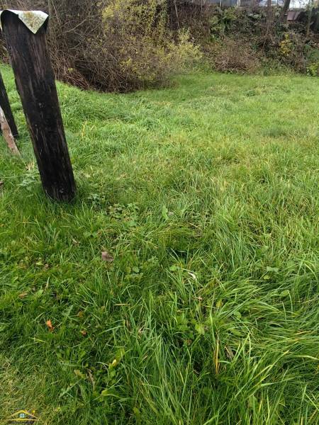 Green lawn and wooden posts on a property in Oščadnica, ideal for living.