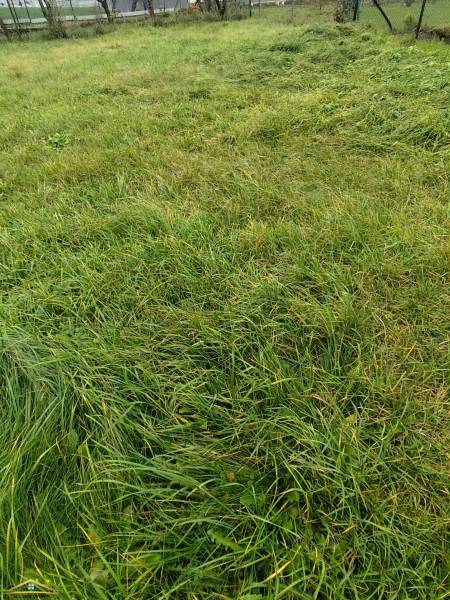 A grassy residential plot in Oščadnica surrounded by greenery and fences.