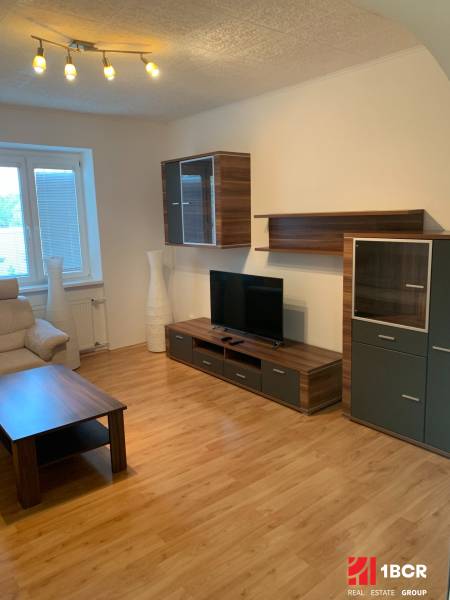 Living room of a two-room apartment with wood-patterned flooring and a television.