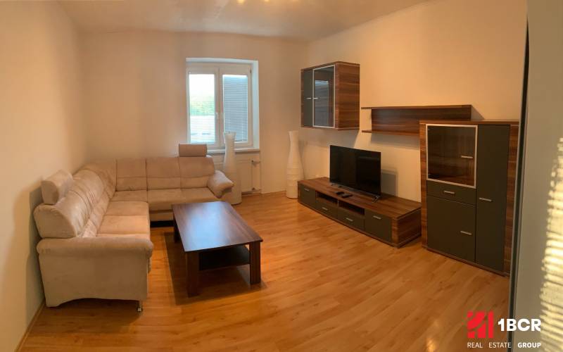 Living room with a beige sofa, TV, and wooden decor in a 2-room apartment.