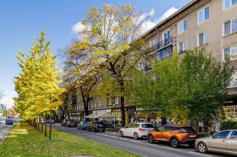 Trees line Košická Street in Bratislava - Ružinov, cars parked along the road.