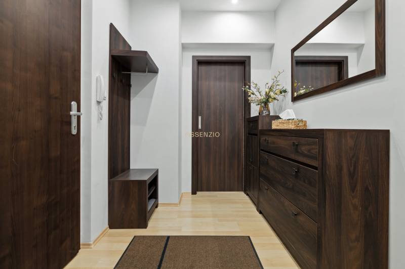 Entrance hallway in a 2-room apartment, with dark furniture and a wooden decor floor.