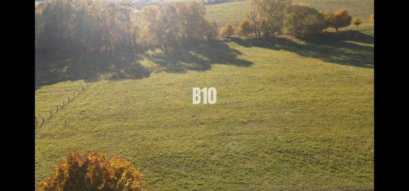 A meadow surrounded by trees on land in Petrovice suitable for living.