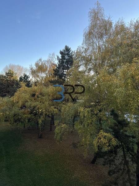 A garden view from a 2-room apartment on Hviezdoslavova Street in Senica, with tall trees.