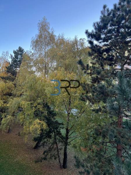 Greenery on Hviezdoslavova Street in Senica surrounds a 2-room apartment, creating a natural atmosphere.