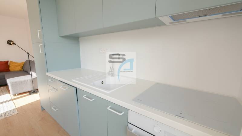 A kitchen in a 2-room apartment with a sink, an induction hob, and a wooden decor floor.
