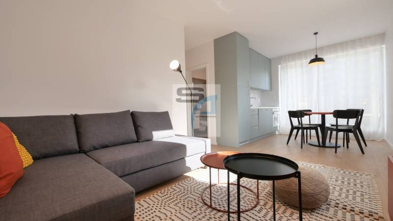 Living room in a 2-room apartment with a sofa, dining table, and wooden decor flooring.
