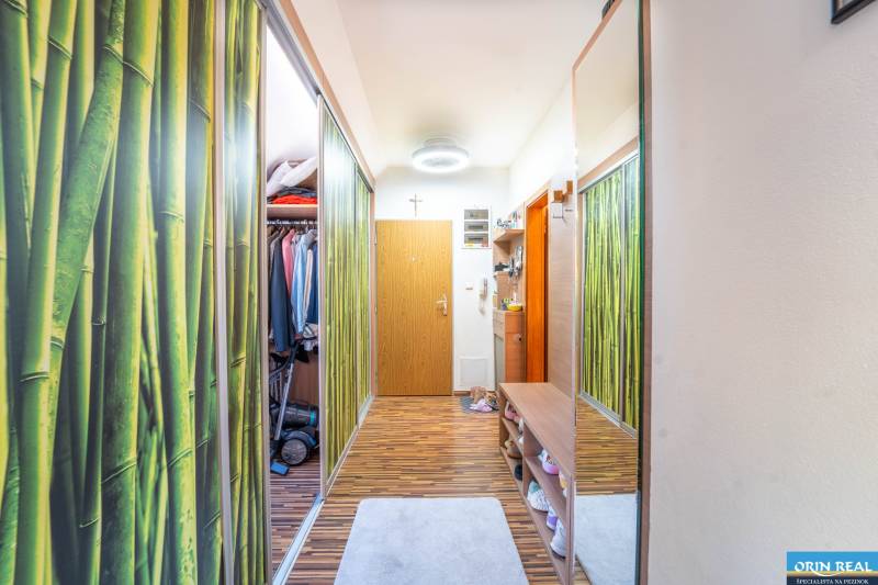 A hallway in a 2-room apartment with a wooden decor floor and a shoe cabinet.