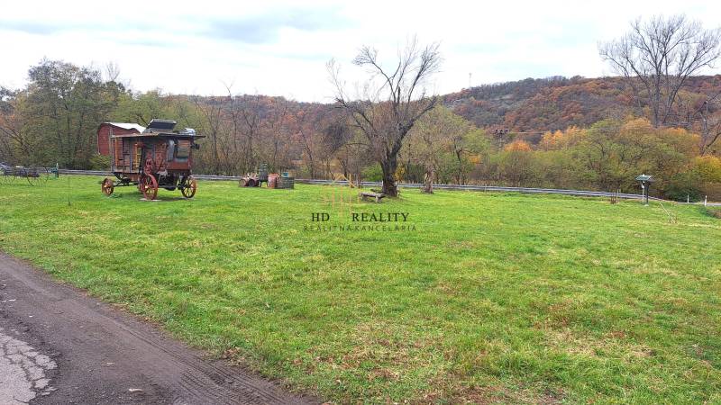 A green area with a wooden cart by a family house in Rykynčice, surrounded by trees in autumn.