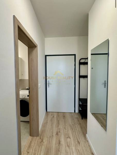A hallway with a wood-patterned floor, a mirror, and an entrance to the bathroom in a 2-room apartment.