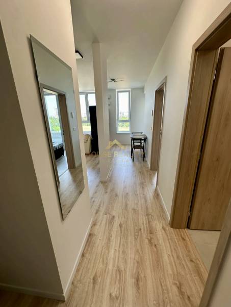 A hallway in a 2-room apartment with a wooden decor floor, light color, and a wall mirror.