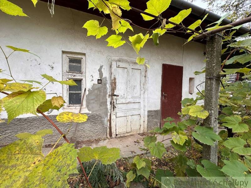 A family house in Zemné: older door and window surrounded by vine.