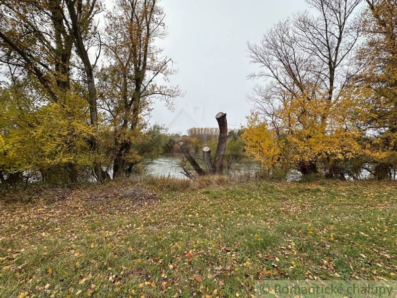 Autumn landscape in the town of Zemné with a river and bare trees.